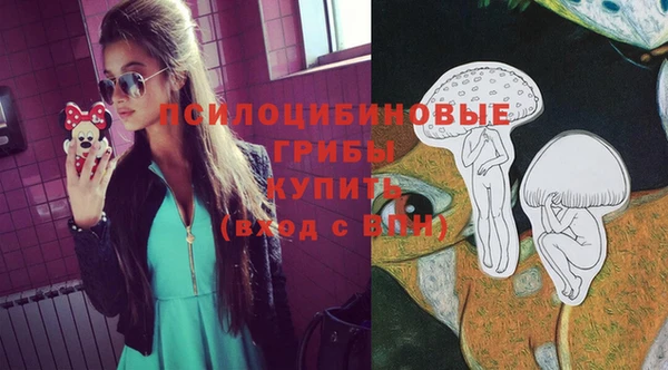 мяу мяу мука Ельня